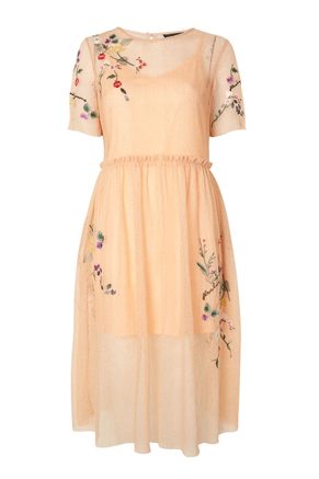 Topshop-Embroidered-Mesh-Midi-Dress.jpg